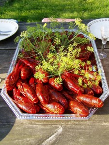 crayfish-430656_960_720